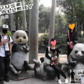 V݄(dng)@ GZ zoo